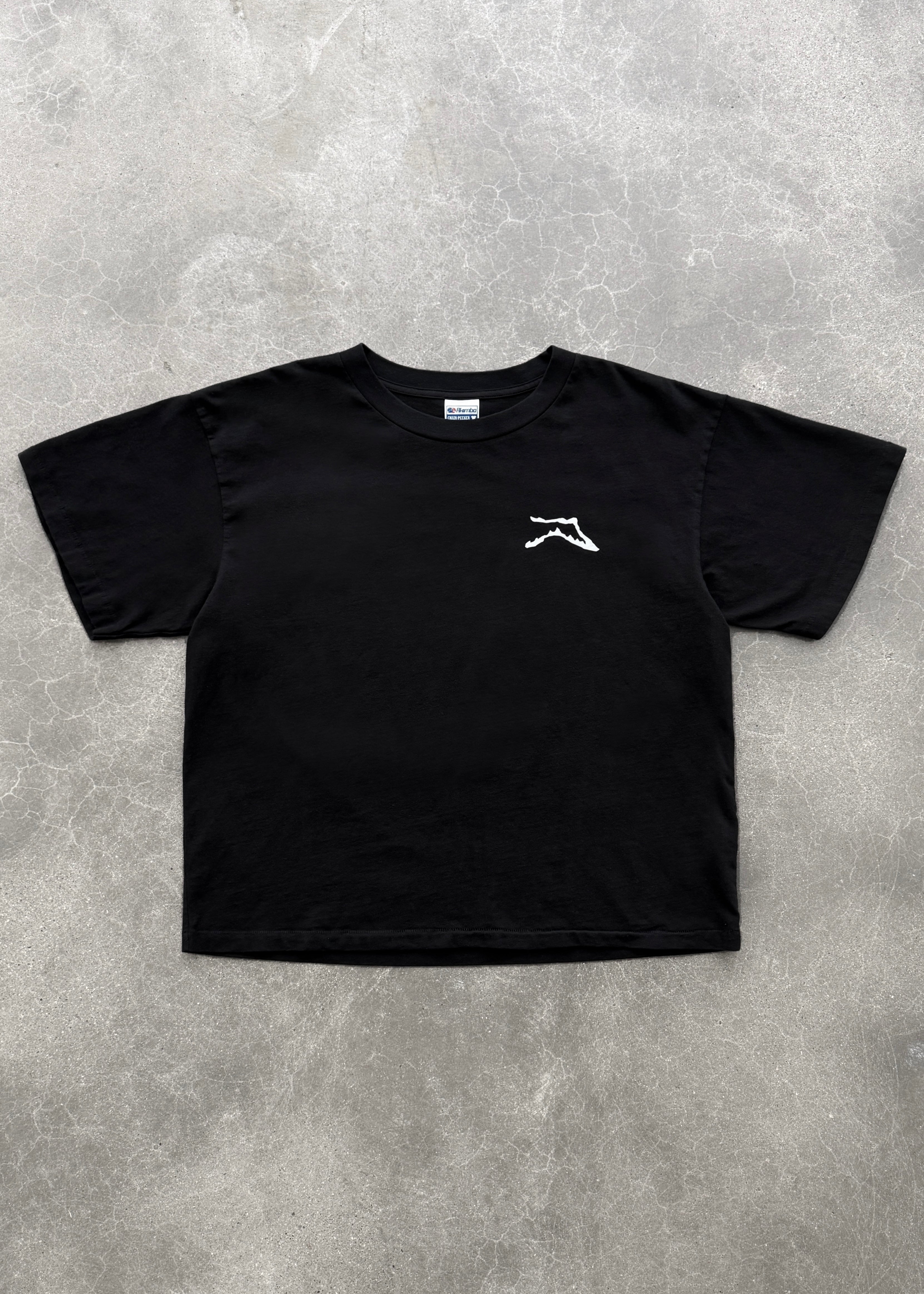 "CHAIN-PEEKER” MID-WEIGHT RANGE TEE - BLACK