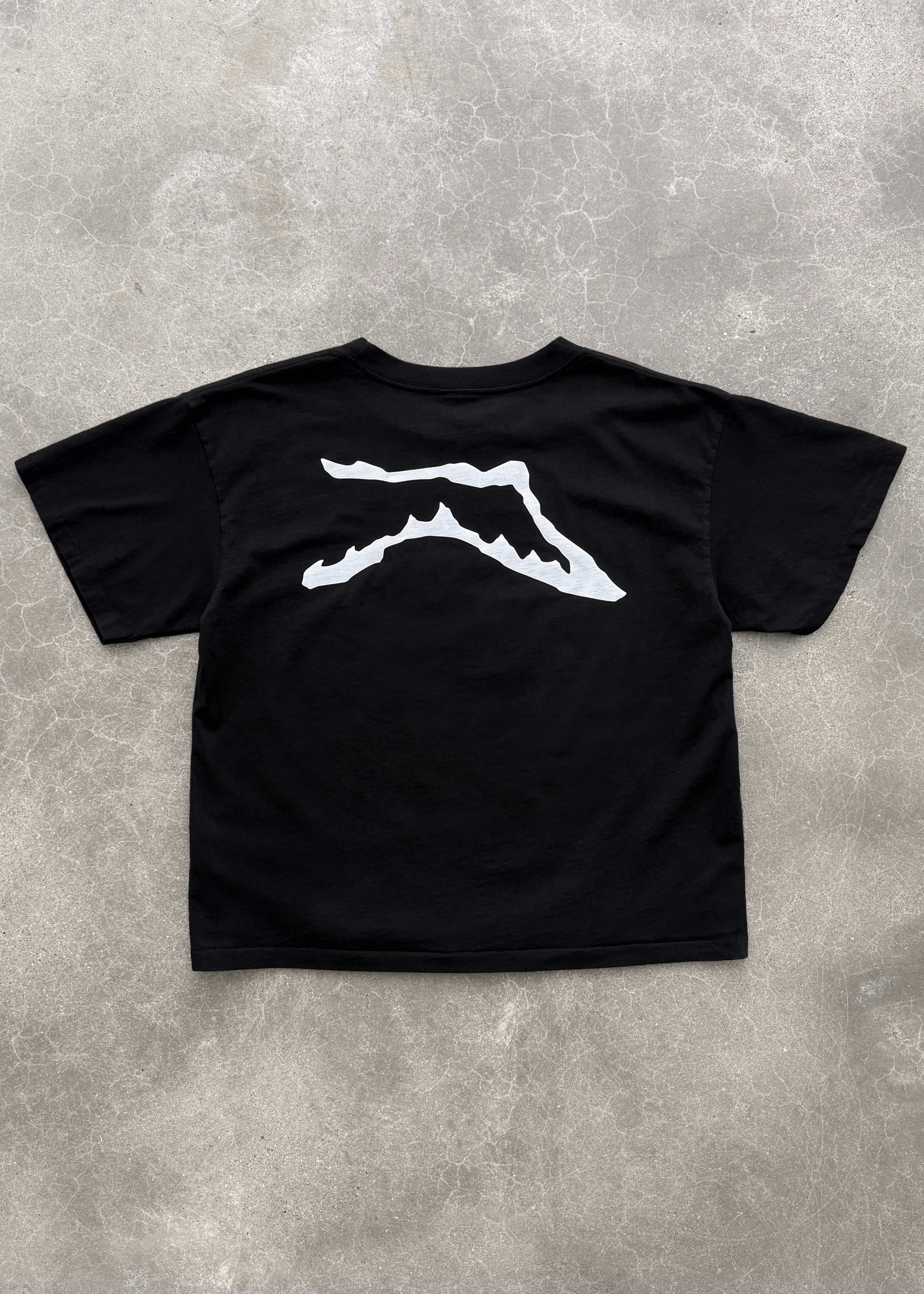 "CHAIN-PEEKER” MID-WEIGHT RANGE TEE - BLACK