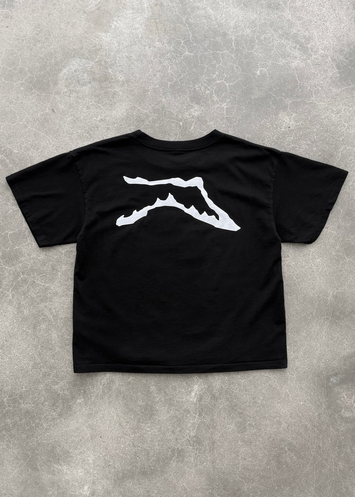 CHAIN-PEEKER” MID-WEIGHT RANGE TEE - BLACK