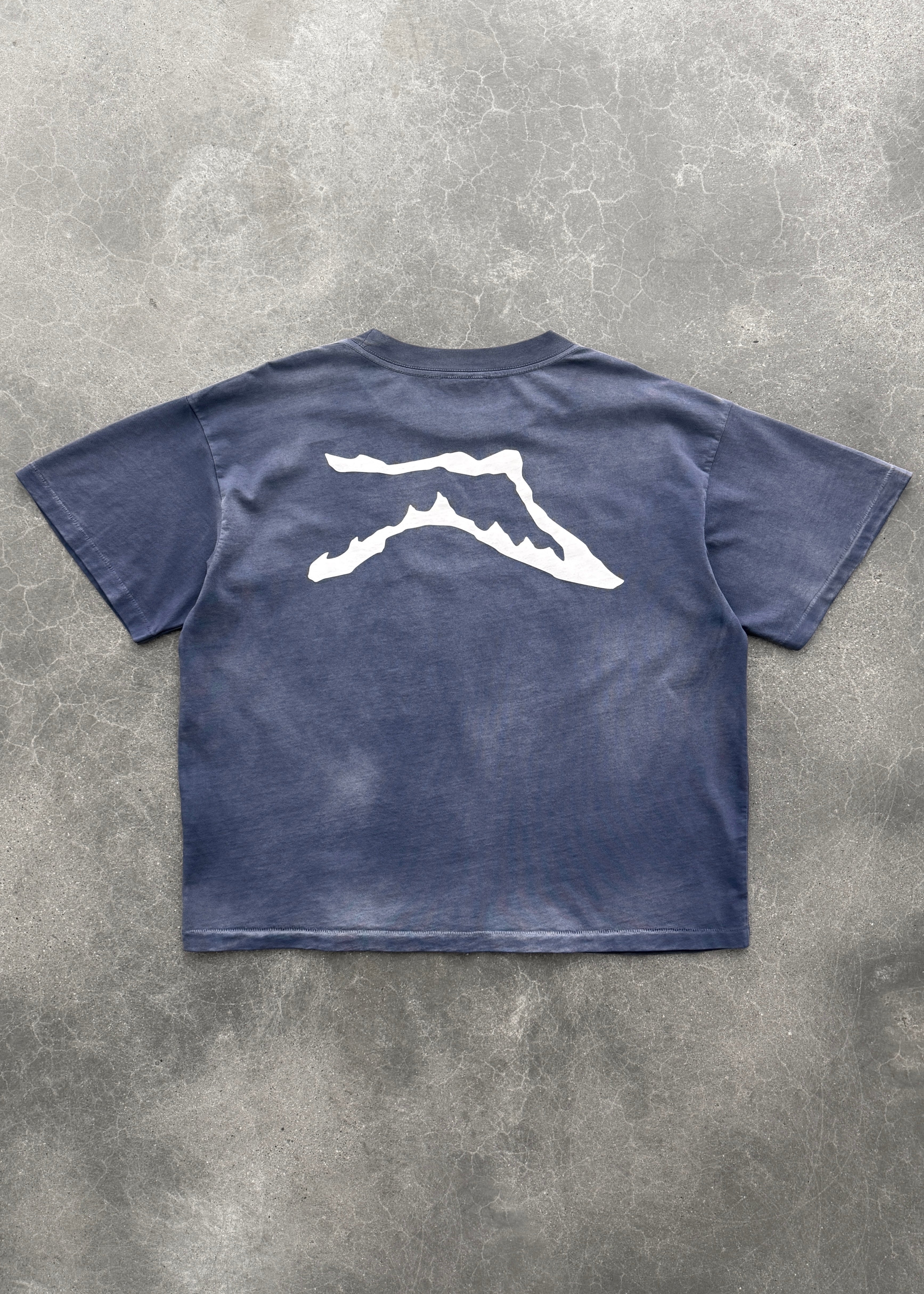 "CHAIN-PEEKER” MID-WEIGHT RANGE TEE - SUN FADED EGGPLANT