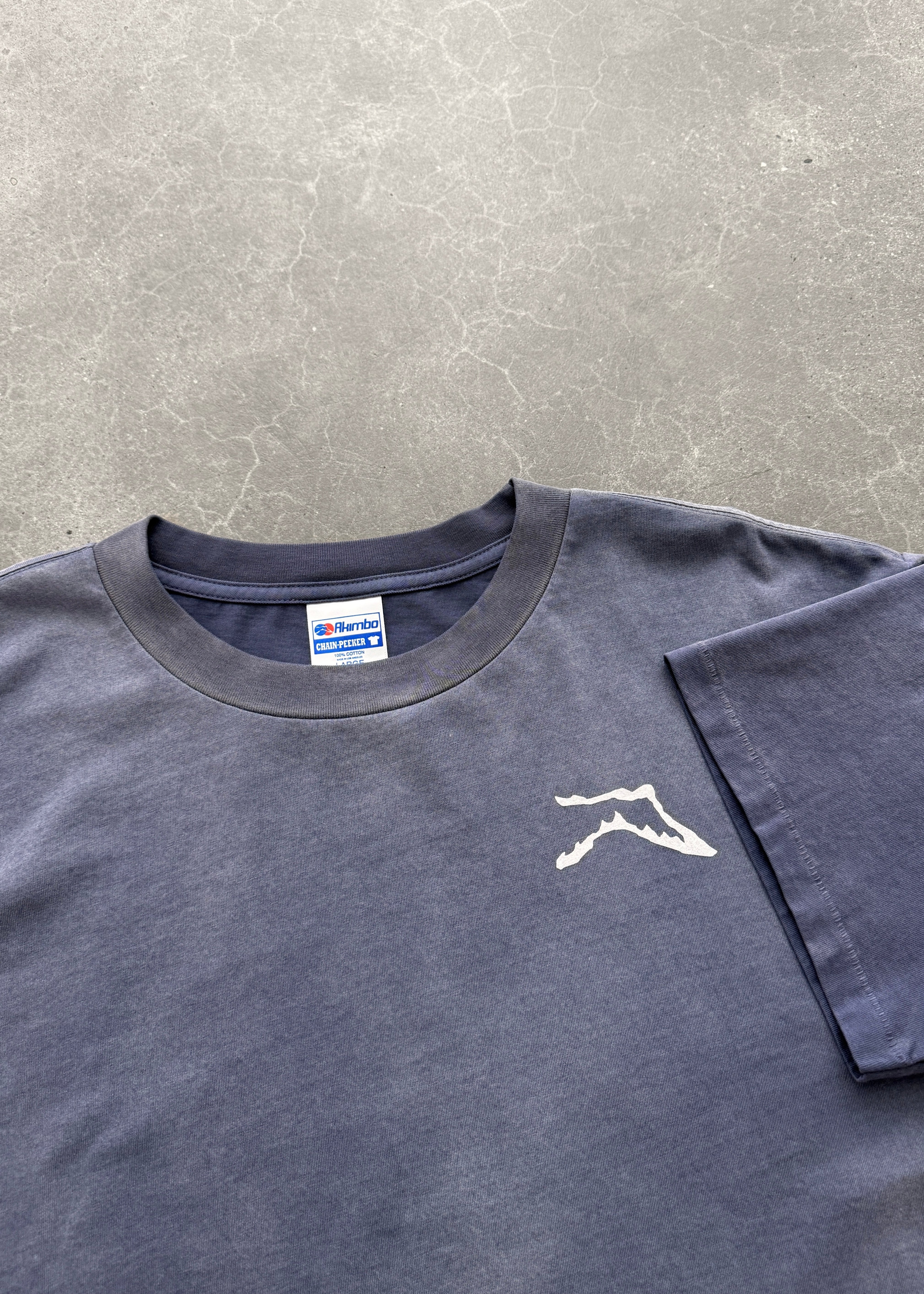 "CHAIN-PEEKER” MID-WEIGHT RANGE TEE - SUN FADED EGGPLANT