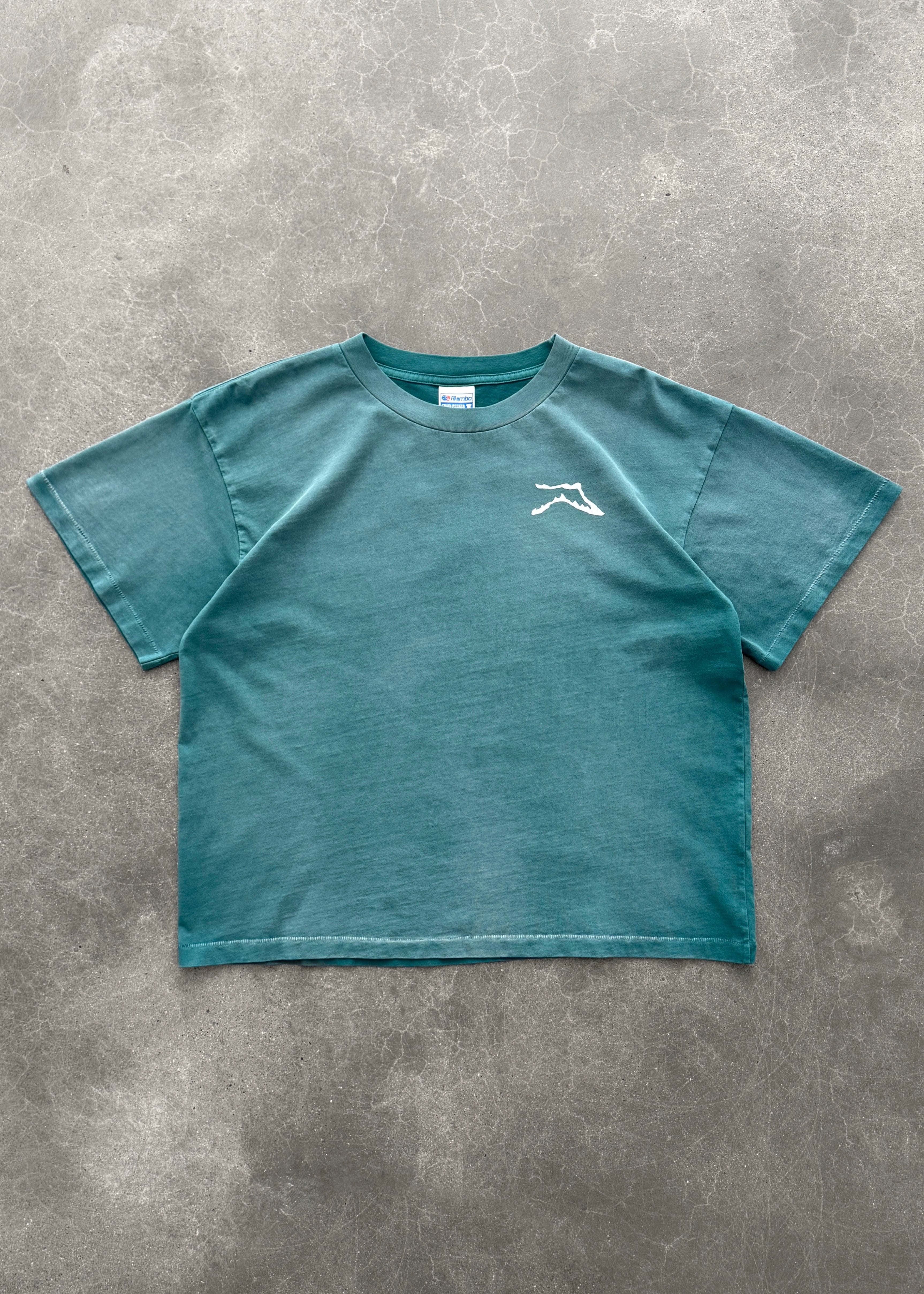 "CHAIN-PEEKER” MID-WEIGHT RANGE TEE - SUN FADED JADE