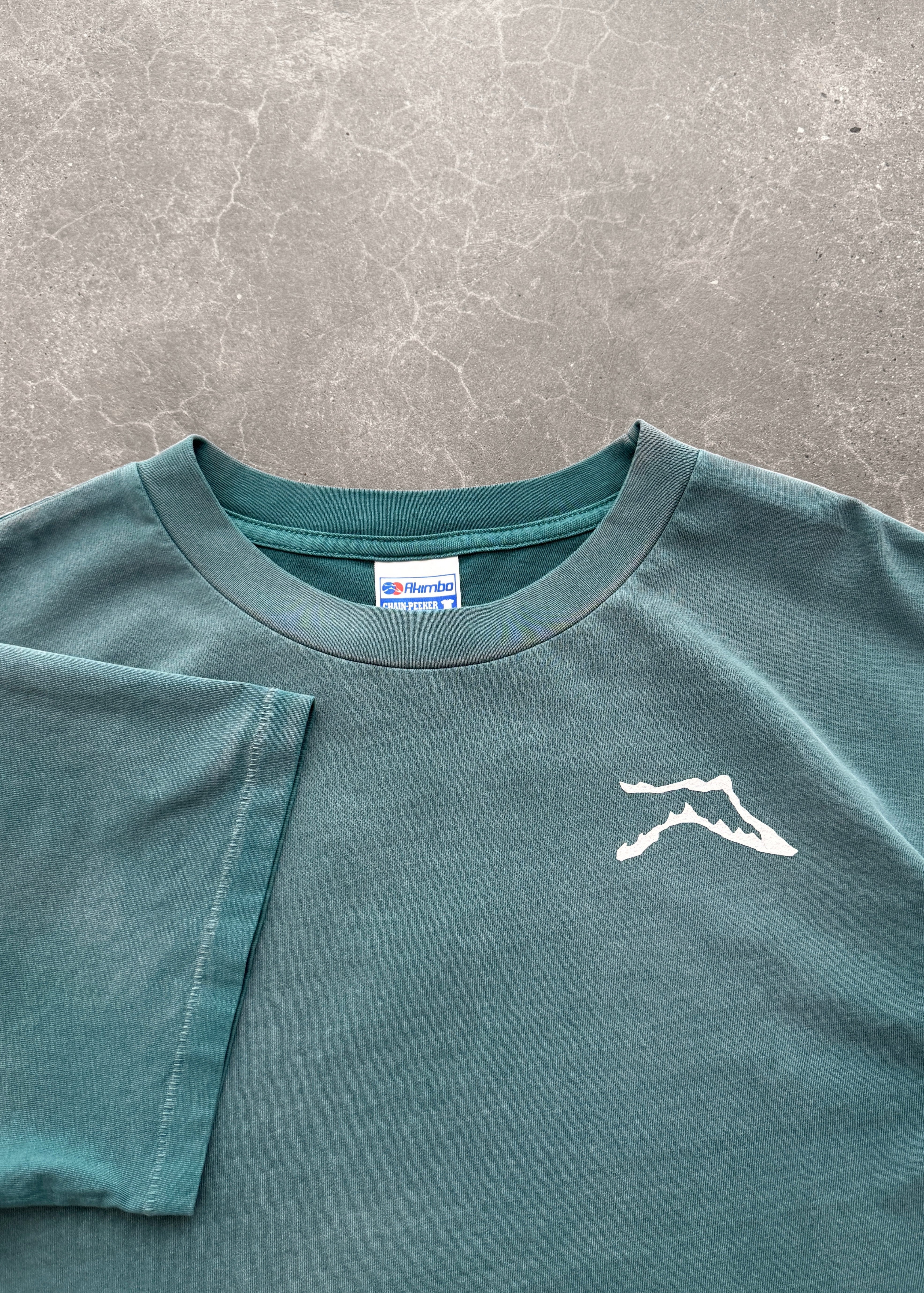 "CHAIN-PEEKER” MID-WEIGHT RANGE TEE - SUN FADED JADE