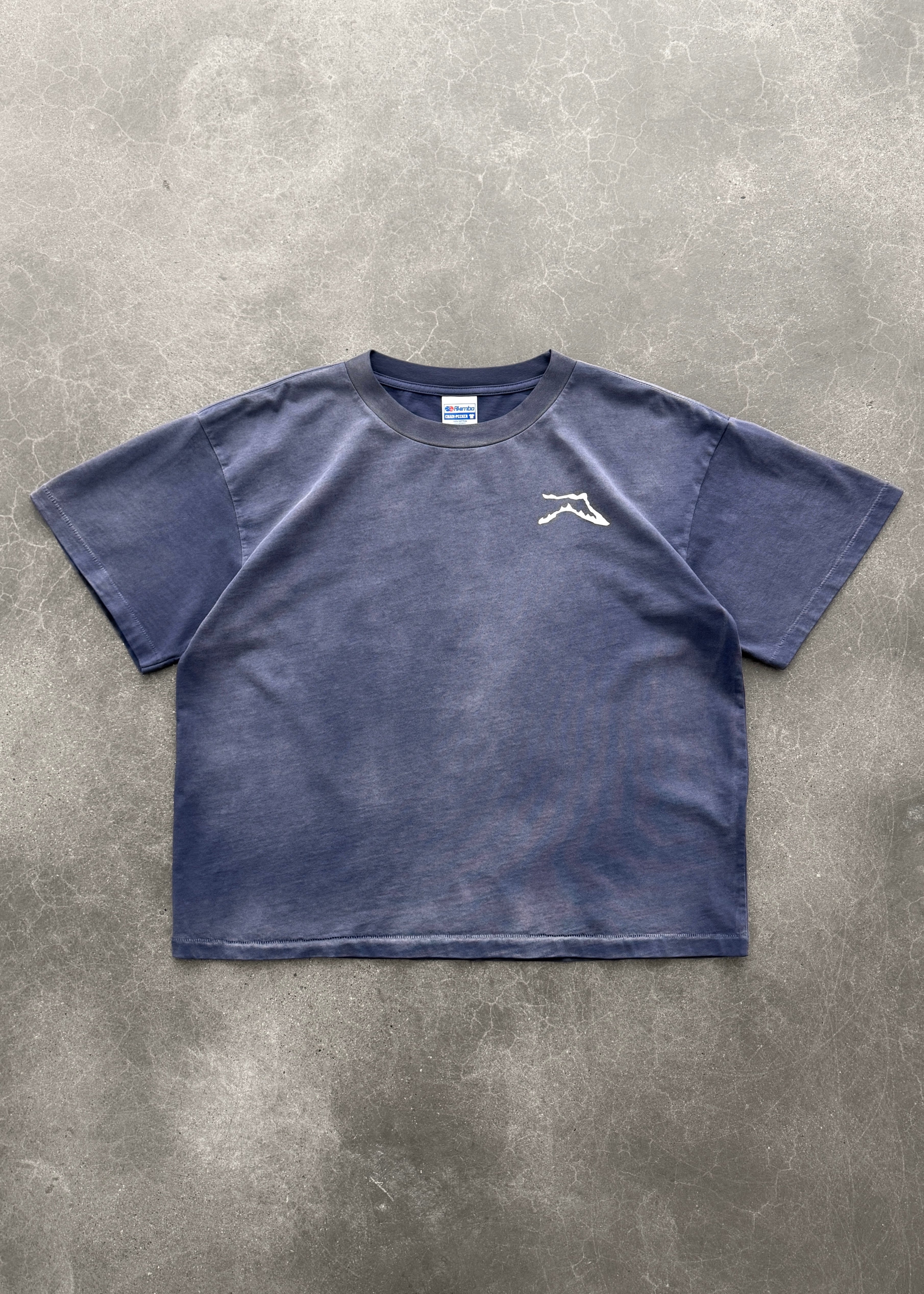 "CHAIN-PEEKER” MID-WEIGHT RANGE TEE - SUN FADED EGGPLANT
