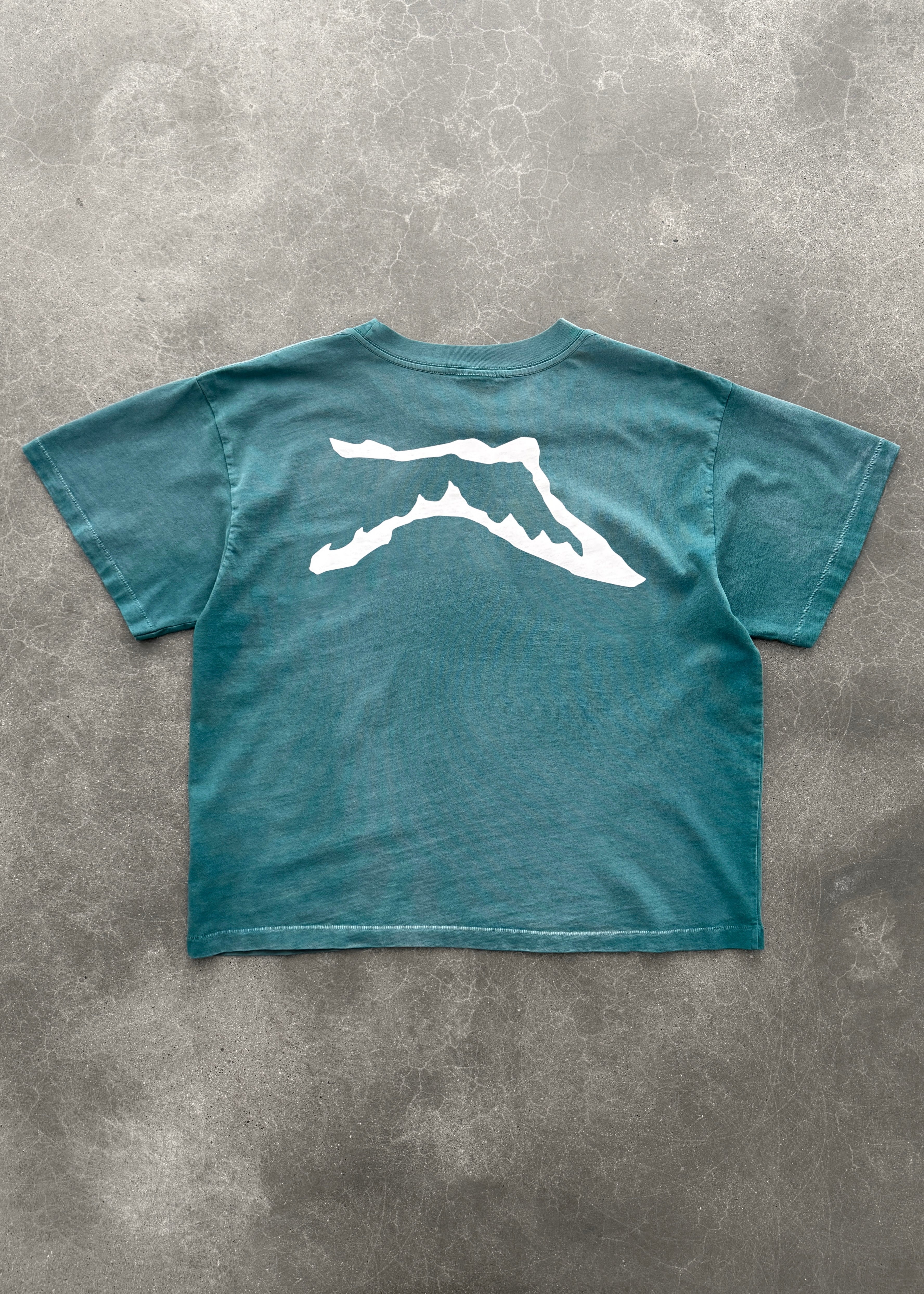 "CHAIN-PEEKER” MID-WEIGHT RANGE TEE - SUN FADED JADE